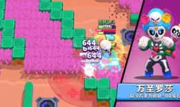 荒野皮肤爆料最新版,最新版神秘皮肤大揭秘！