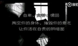 正能量最新爆料视频,揭秘视频背后的感人故事